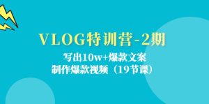 （11520期）VLOG特训营-2期：写出10w+爆款文案，制作爆款视频（19节课）-庄子聊项目
