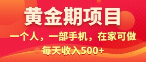 (11527期)黄金期项目,电商搞钱!一个人,一部手机,在家可做,每天收入500+-庄子聊项目
