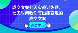 成交文案七天实战训练营,七天时间教你写出能变现的成交文案-庄子聊项目