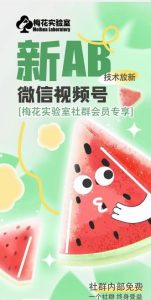 梅花实验室2024年AB技术视频号AB合成破解版-庄子聊项目