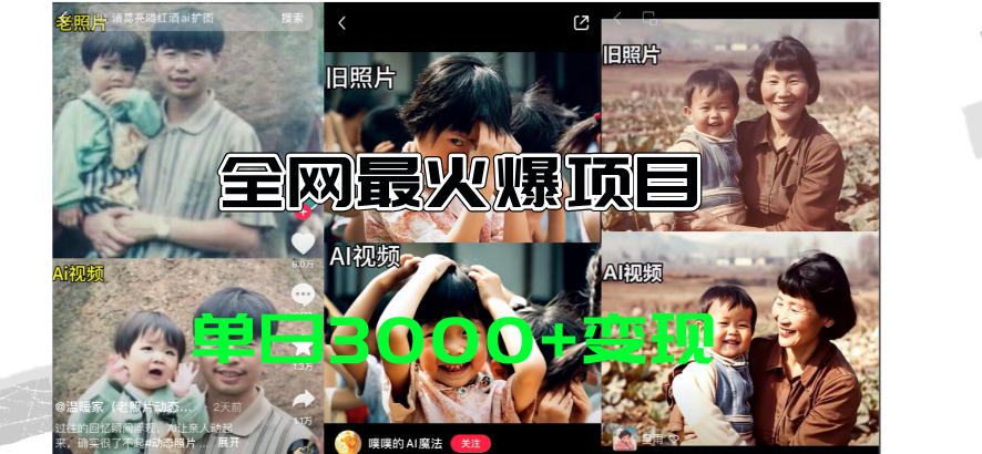 （11546期）全网爆火的AI让老照片动起来教程，蹭热点日赚3000+，内含免费工具一键…-庄子聊项目