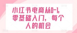小红书电商从0-1,零基础入门,每个人的机会-庄子聊项目