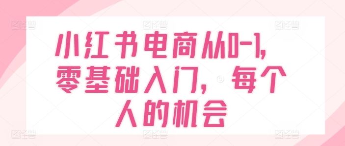 小红书电商从0-1，零基础入门，每个人的机会-庄子聊项目