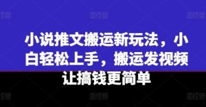小说推文搬运新玩法，小白轻松上手，搬运发视频让搞钱更简单-庄子聊项目