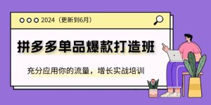 (11556期)2024拼多多-单品爆款打造班(更新6月),充分应用你的流量,增长实战培训-庄子聊项目