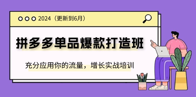 （11556期）2024拼多多-单品爆款打造班(更新6月)，充分应用你的流量，增长实战培训-庄子聊项目