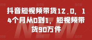 抖音短视频带货12.0,14个月从0到1,短视频带货90万件-庄子聊项目