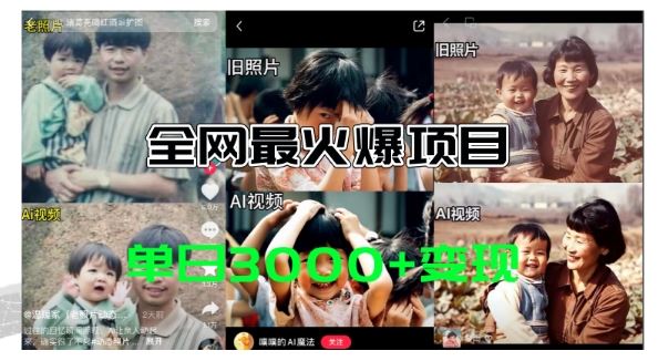 全网爆火的AI让老照片动起来教程，蹭热点日赚3k+，内含免费工具一键可生成【揭秘】-庄子聊项目