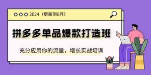2024拼多多单品爆款打造班,充分应用你的流量,增长实战培训(更新6月)-庄子聊项目