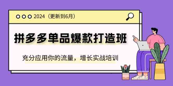 2024拼多多单品爆款打造班，充分应用你的流量，增长实战培训(更新6月)-庄子聊项目