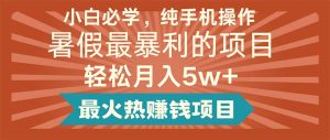 （11583期）小白必学，纯手机操作，暑假最暴利的项目轻松月入5w+最火热赚钱项目-庄子聊项目