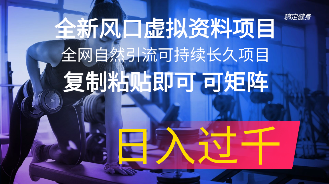 （11587期）全新风口虚拟资料项目 全网自然引流可持续长久项目 复制粘贴即可可矩阵…-庄子聊项目