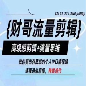 财哥流量剪辑,高级感剪辑+流量思维,教你剪出有质感的个人IP口播视频-庄子聊项目