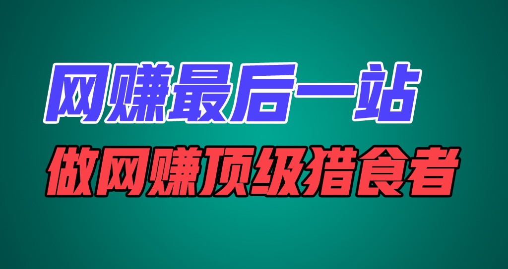 网赚最后一站，卖项目，做网赚顶级猎食者-庄子聊项目