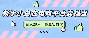 (11610期)新手小白在电商平台卖键盘,日入2K+最真实教学-庄子聊项目