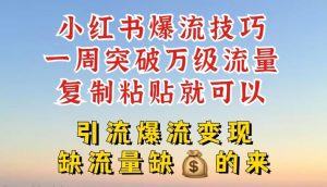 小红书爆流技巧,一周突破万级流量,复制粘贴就可以,引流爆流变现【揭秘】-庄子聊项目