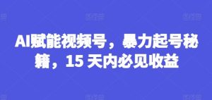 AI赋能视频号，暴力起号秘籍，15 天内必见收益【揭秘】-庄子聊项目