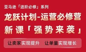 亚马逊进阶必修系列,龙跃计划-运营必修营新课,让卖家实现提升 让单量实现增长-庄子聊项目