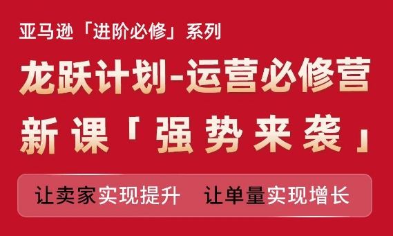 亚马逊进阶必修系列，龙跃计划-运营必修营新课，让卖家实现提升 让单量实现增长-庄子聊项目