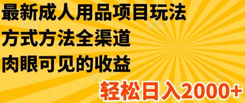 最新成人用品项目玩法，方式方法全渠道，轻松日入2K+【揭秘】-庄子聊项目