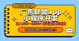 (11645期)小程序开发 广告赚钱 日入500~1000+ 小白轻松上手!-庄子聊项目
