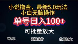 （11651期）全自动小说撸金，单号日入100+小白轻松上手，无脑操作-庄子聊项目