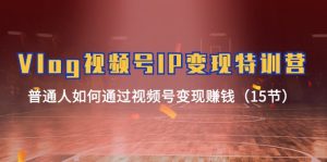 （11654期）Vlog 视频号IP变现特训营，普通人如何通过视频号变现赚钱（15节）-庄子聊项目