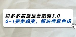 （11658期）2024_2025拼多多实操运营策略3.0，0~1完美蜕变，解决信息焦虑（38节）-庄子聊项目