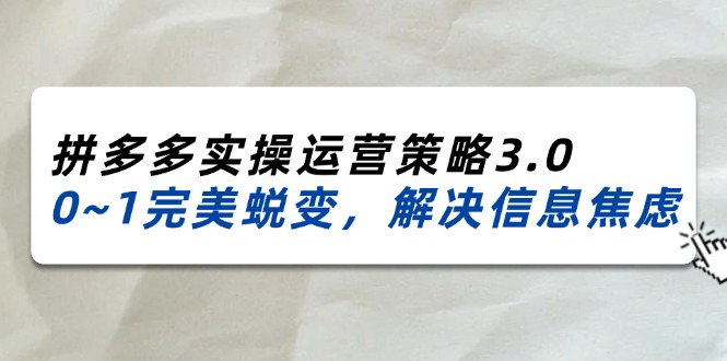 （11658期）2024_2025拼多多实操运营策略3.0，0~1完美蜕变，解决信息焦虑（38节）-庄子聊项目