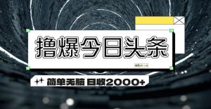 （11665期）撸爆今日头条 简单无脑操作 日收2000+-庄子聊项目