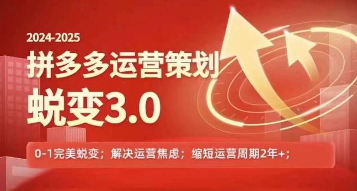 2024-2025拼多多运营策略蜕变3.0，0~1完美蜕变，解决信息焦虑-庄子聊项目