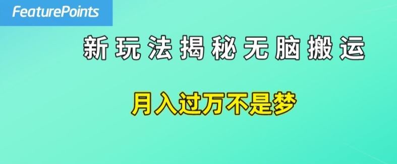 简单操作，每天50美元收入，搬运就是赚钱的秘诀【揭秘】-庄子聊项目