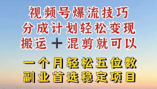 视频号爆流技巧，分成计划轻松变现，搬运 +混剪就可以，一个月轻松五位数稳定项目【揭秘】-庄子聊项目
