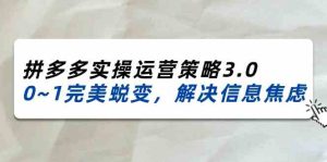 2024-2025拼多多实操运营策略3.0,0~1完美蜕变,解决信息焦虑(38节)-庄子聊项目