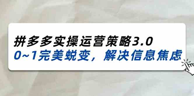 2024-2025拼多多实操运营策略3.0，0~1完美蜕变，解决信息焦虑（38节）-庄子聊项目