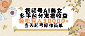 （11684期）视频号AI美女，轻松月入30000+,操作简单轻松上手-庄子聊项目