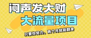 (11688期)闷声发大财,大流量项目,月收益过3万,只要你努力,两个月就能翻身-庄子聊项目