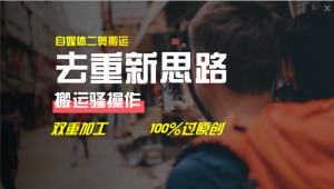 去重新思路，详细教你自媒体视频二剪搬运技术，自己加工双重去重100%过原创-庄子聊项目