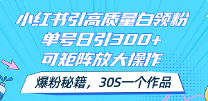 (11692期)小红书引高质量白领粉,单号日引300+,可放大操作,爆粉秘籍!30s一个作品-庄子聊项目