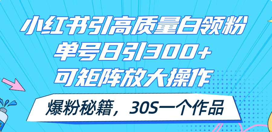 （11692期）小红书引高质量白领粉，单号日引300+，可放大操作，爆粉秘籍！30s一个作品-庄子聊项目