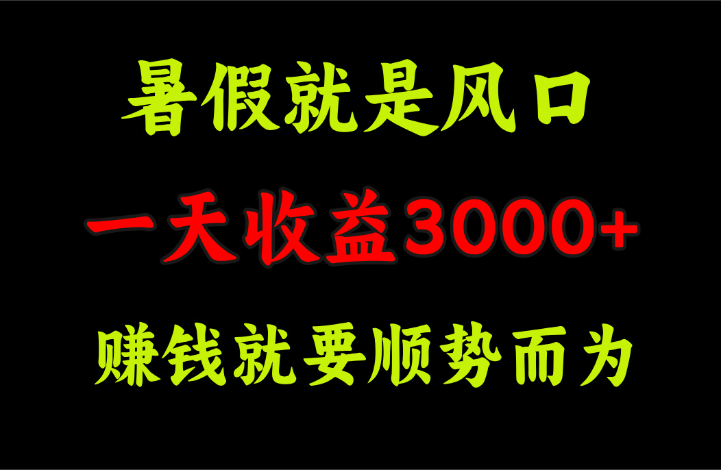 （11670期）一天收益3000+ 赚钱就是顺势而为，暑假就是风口-庄子聊项目