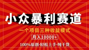 (11695期)视频号【中老年粉深信不疑】小众赛道 100%原创 手把手教学 新号3天收益…-庄子聊项目