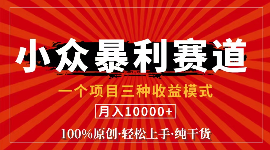 （11695期）视频号【中老年粉深信不疑】小众赛道 100%原创 手把手教学 新号3天收益…-庄子聊项目