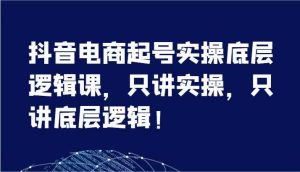 抖音电商起号实操底层逻辑课,只讲实操,只讲底层逻辑!(7节)-庄子聊项目