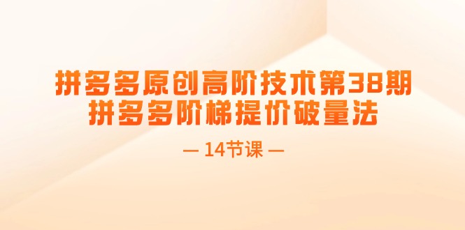 （11704期）拼多多原创高阶技术第38期，拼多多阶梯提价破量法（14节课）-庄子聊项目