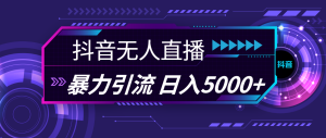（11709期）抖音无人直播，暴利引流，日入5000+-庄子聊项目