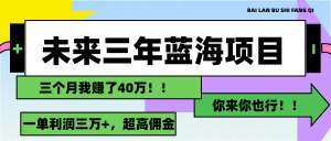 (11716期)未来三年,蓝海赛道,月入3万+-庄子聊项目