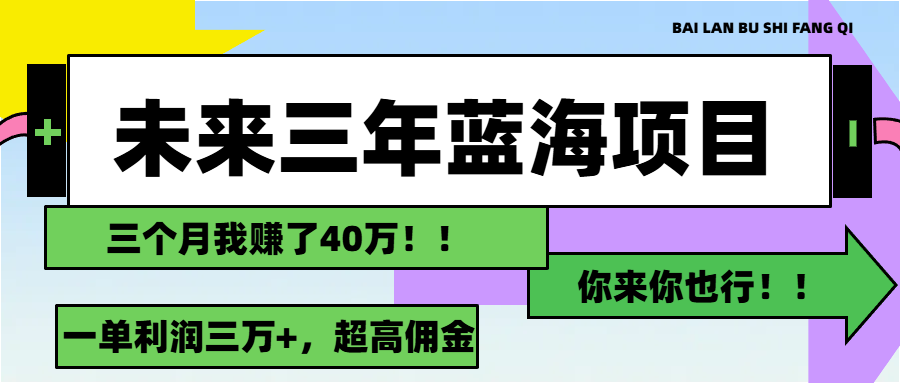 （11716期）未来三年，蓝海赛道，月入3万+-庄子聊项目