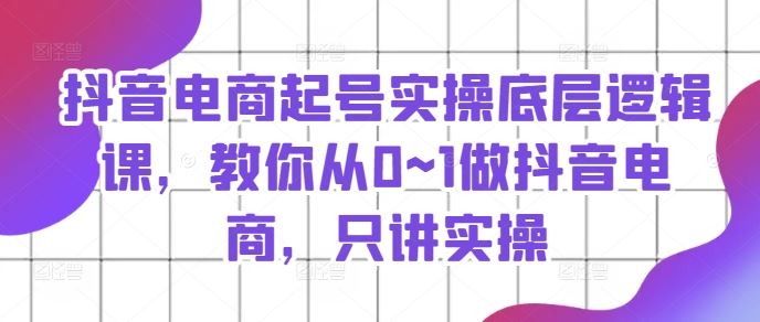 抖音电商起号实操底层逻辑课，教你从0~1做抖音电商，只讲实操-庄子聊项目