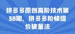 拼多多原创高阶技术第38期,拼多多阶梯提价破量法-庄子聊项目